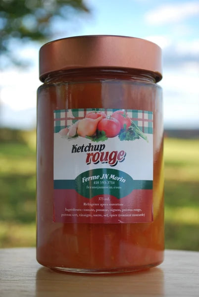 Ketchup maison